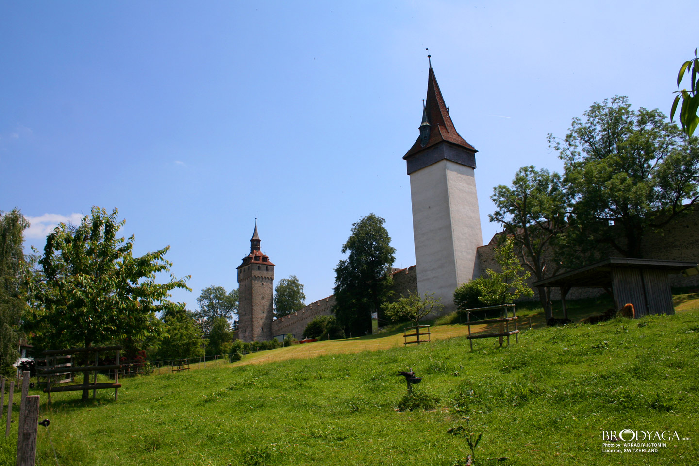 Lucerne